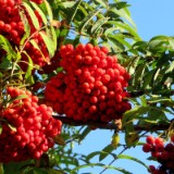 1609F 163 Spree und Havel